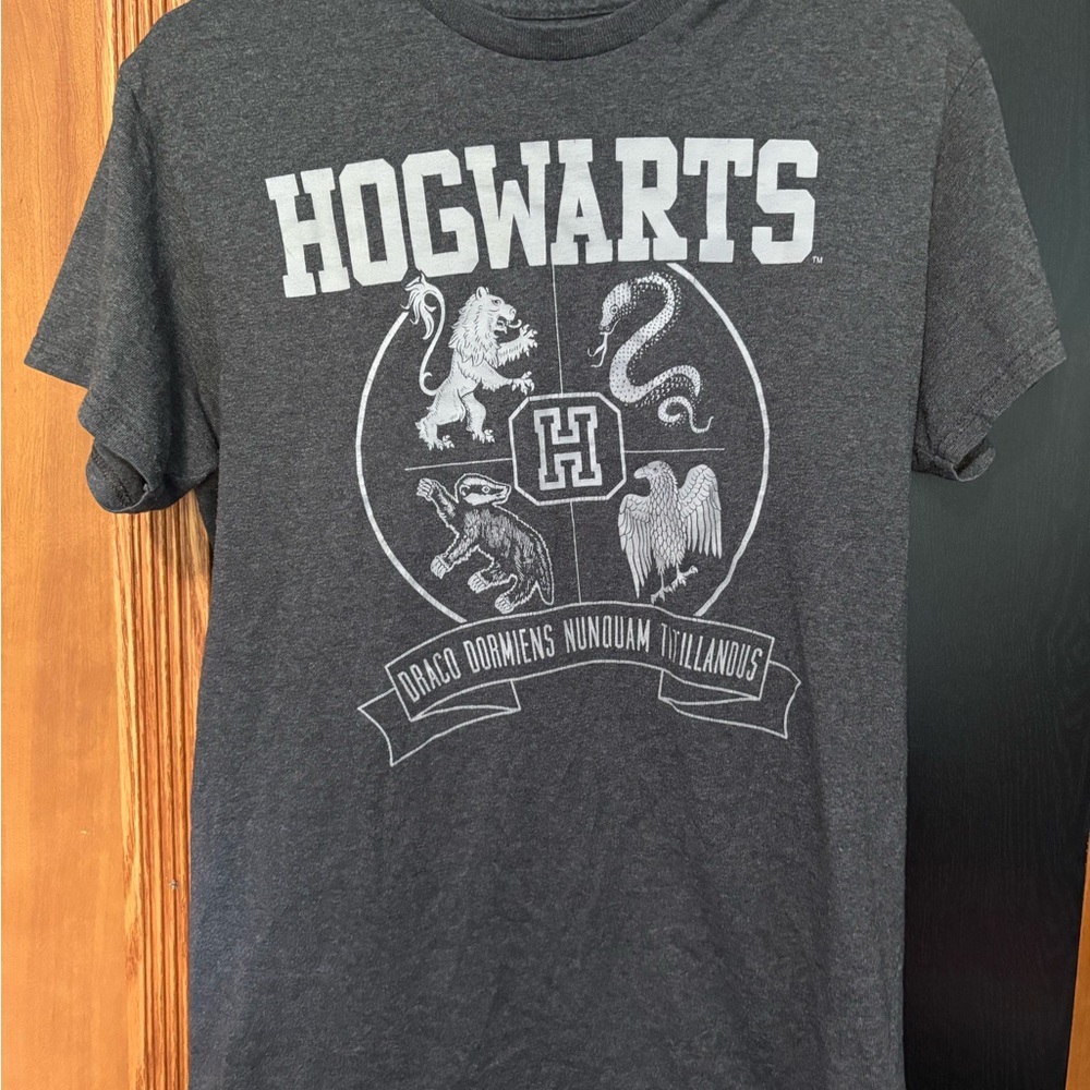 Hogwarts Harry Potter Gray Graphic Unisex T-Shirt